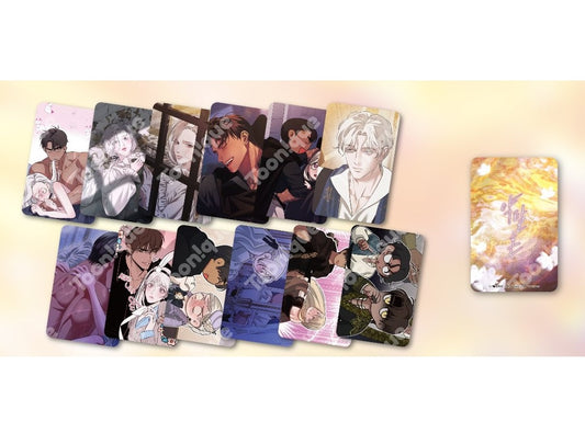 [collaboration cafe] Predatory Marriage : 12 photo cards set