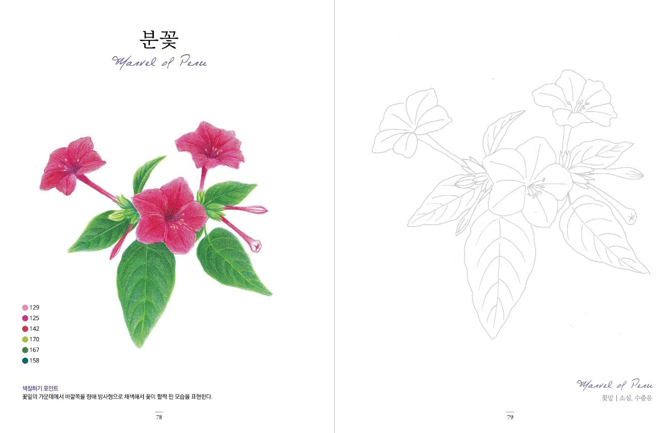 flower garden at home Coloring Book