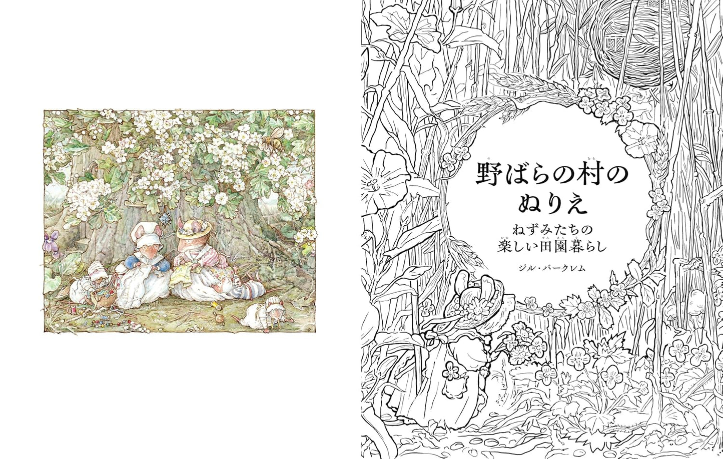 Brambly Hedge NATURE Colouring Book By Jill Barklem  : Japanese Version Coloring Book