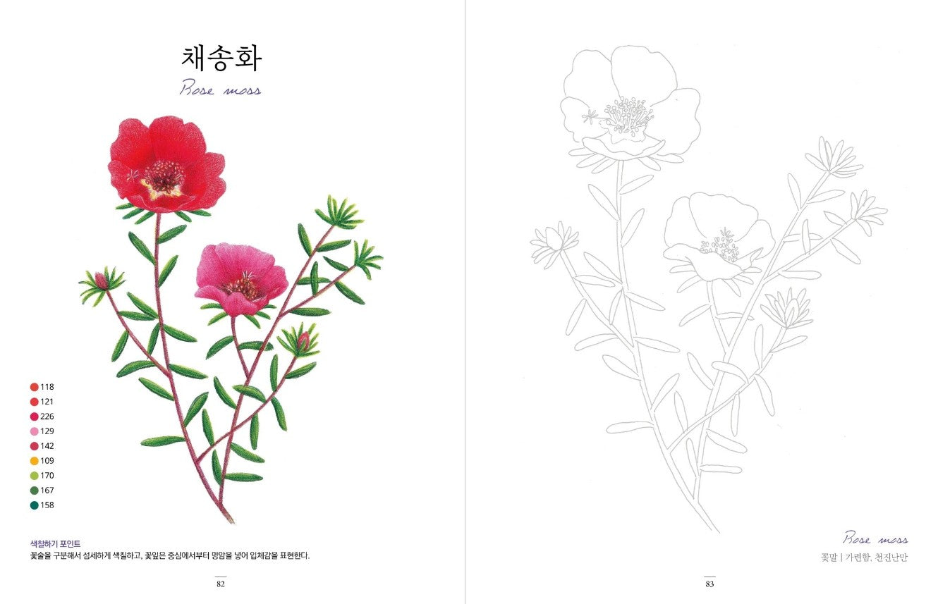 flower garden at home Coloring Book