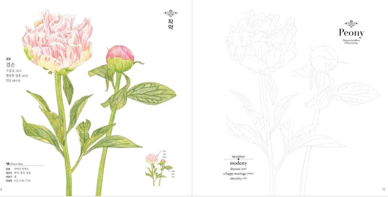 One flower drawing class per day Coloring Book