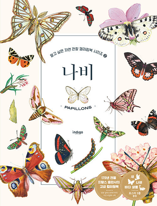 Nature Coloring Book Series : butterfly