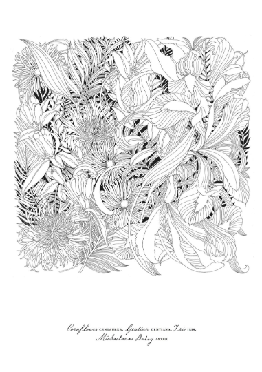 [Surprise sale] Floribunda A flower coloring book by Leila Duly