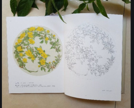 Botanical picture of Shibata Keshin decorating the Imperial Palace Coloring Book