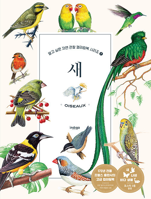 Nature Coloring Book Series : Bird