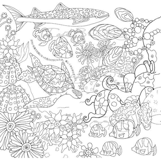 Romantic Journey coloring book for adult by INKO KOTORIYAMA