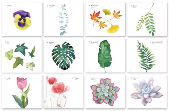 Botanical Flower Watercolor Coloring Book by Rosa