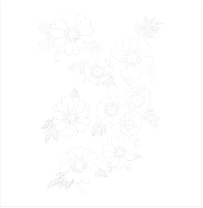 Hello Wild Flowers Coloring Book by Lee Joong Bok