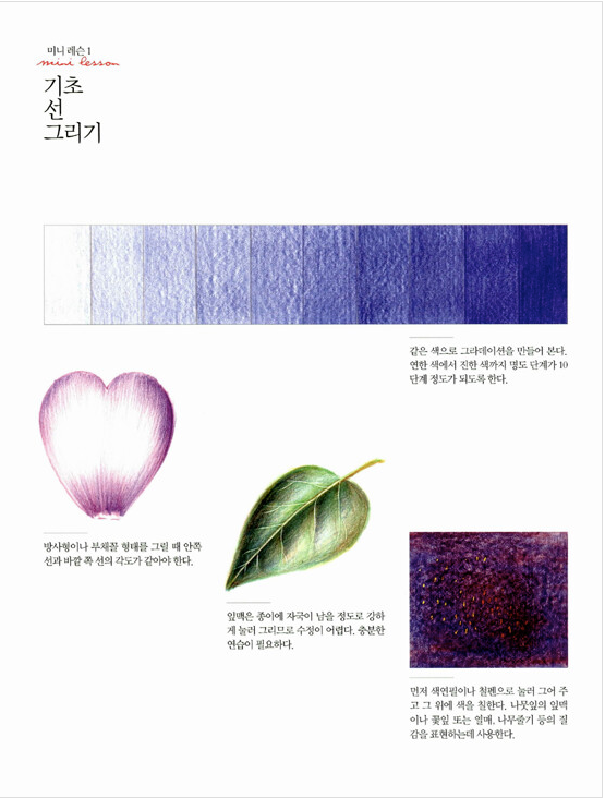 Botanical Art Coloring Book Vol.2 [Four seasons]