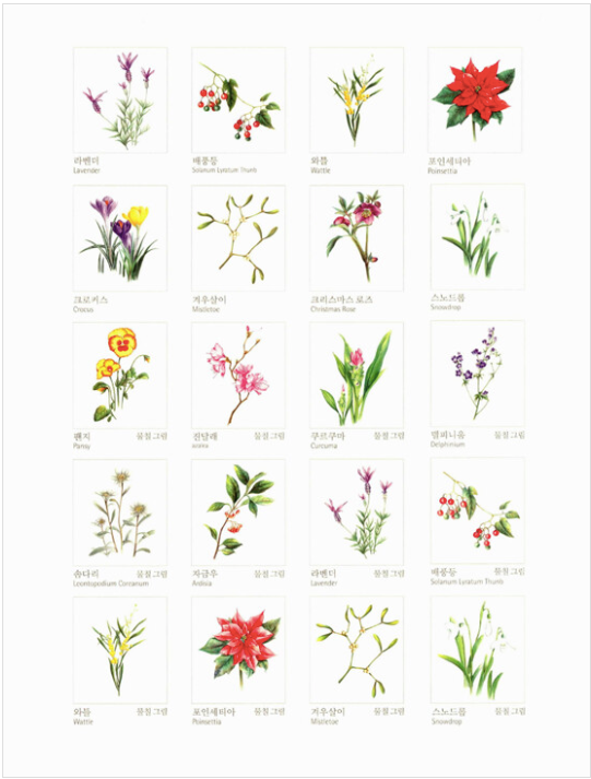 Botanical Art Coloring Book Vol.2 [Four seasons]