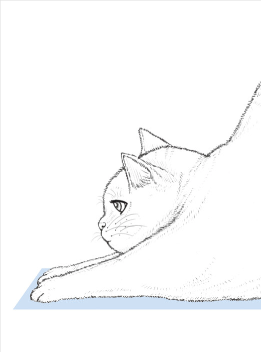 Love Re : Cat Coloring Book by Lee bora(@leeeebo)