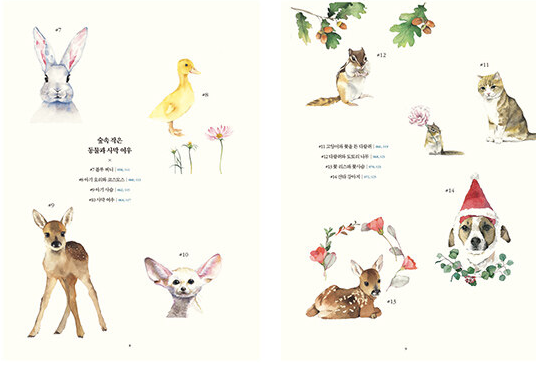 Animal Friends Watercolor Lesson Book by NuNu