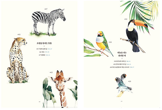 Animal Friends Watercolor Lesson Book by NuNu