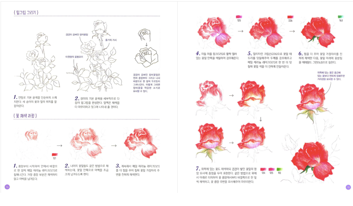 Botanical Art korean Drawing lesson book by Ejong