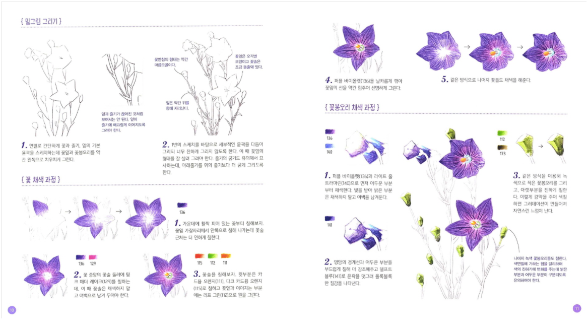 Botanical Art korean Drawing lesson book by Ejong