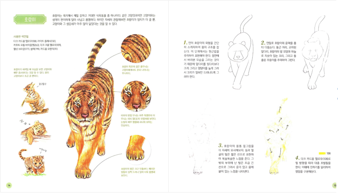 Animal korean Drawing lesson book by Ejong