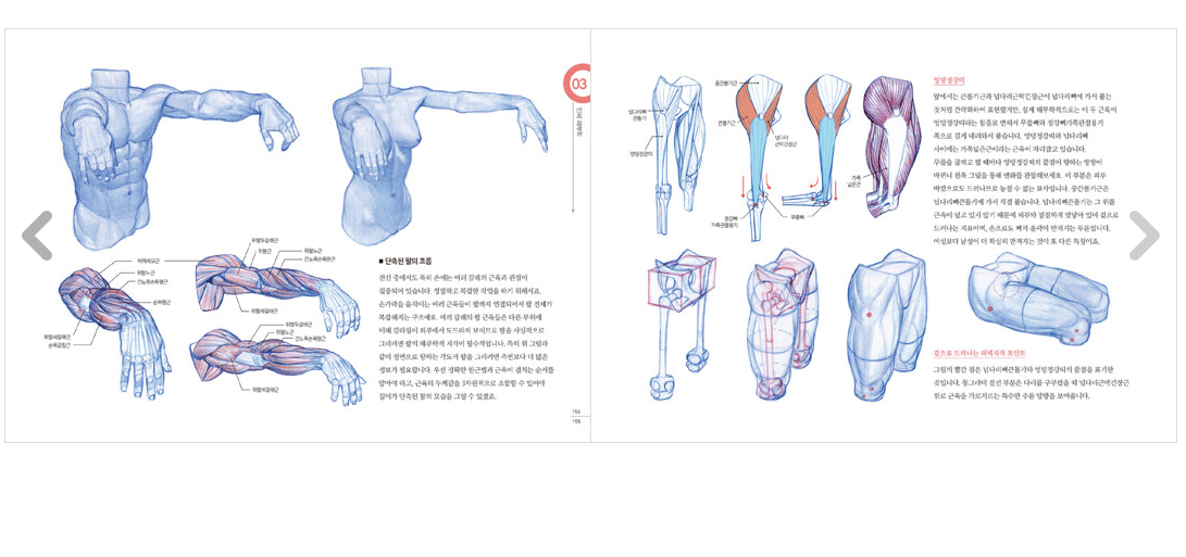 RockHe Kim's ANATOMY DRAWING CLASS, Anatomy drawing lesson book