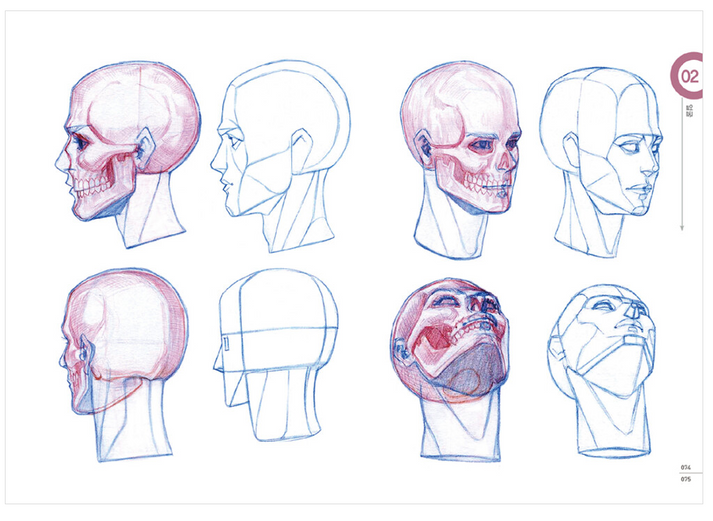 RockHe Kim's ANATOMY DRAWING CLASS, Anatomy drawing lesson book