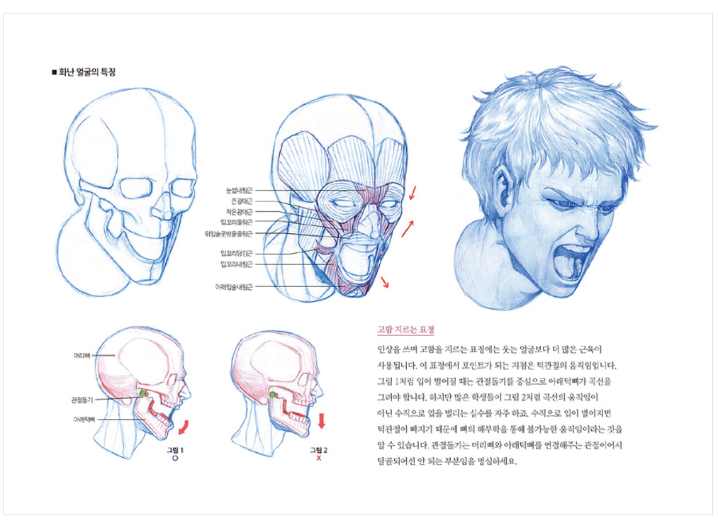 RockHe Kim's ANATOMY DRAWING CLASS, Anatomy drawing lesson book