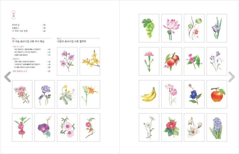 Botanical coloring book, Flowers and fruits