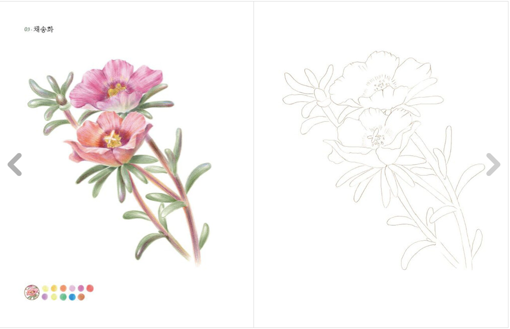 Botanical coloring book, Flowers and fruits
