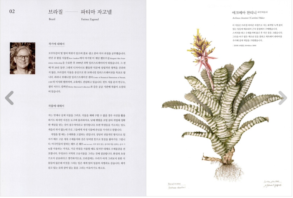 World Class Botanical Art Book by 12 authors of the world