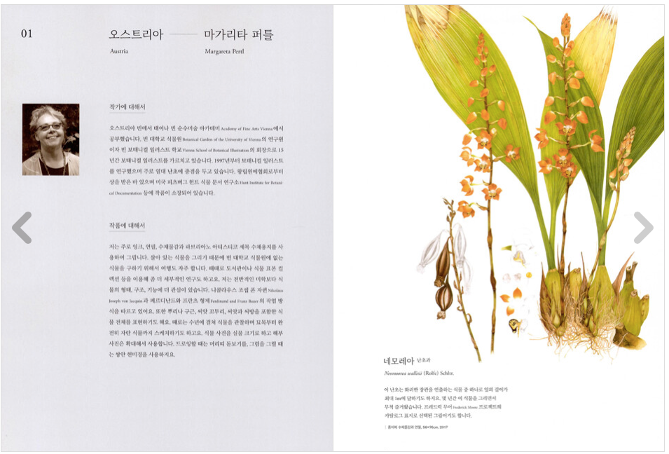 World Class Botanical Art Book by 12 authors of the world