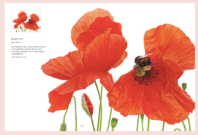 World Class Botanical Art Book by 12 authors of the world