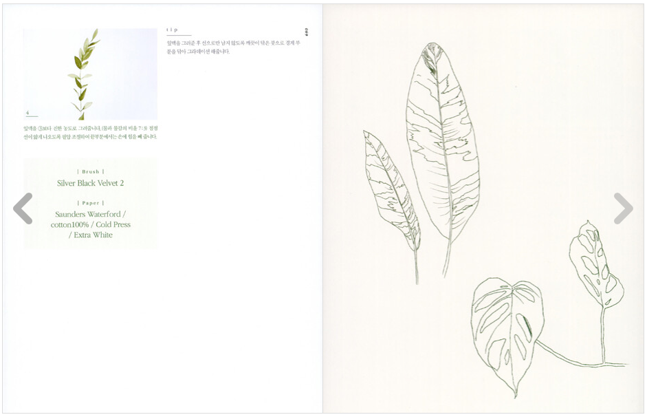 Botanical Drawing and watercolor lesson book by nuns, how to drawing botanical with QR code