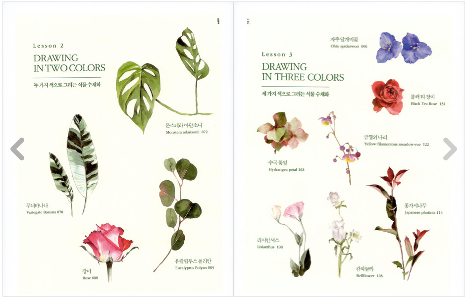 Botanical Drawing and watercolor lesson book by nuns, how to drawing botanical with QR code