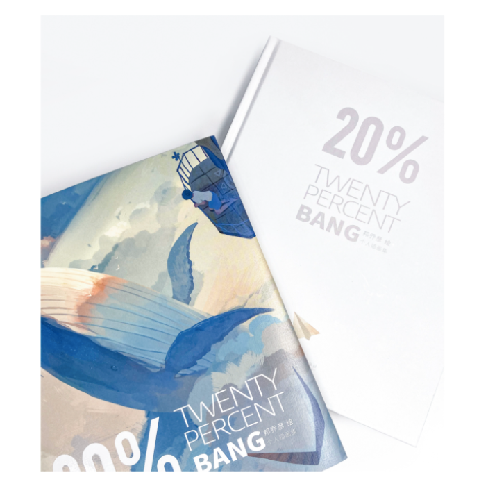 20% The Art Book Twenty Percent by BANG