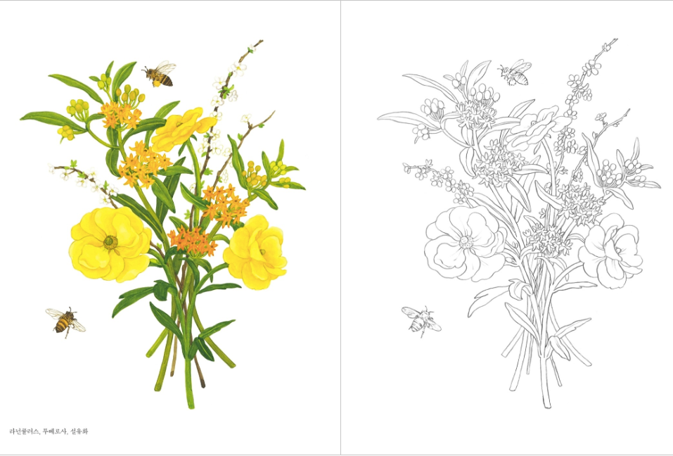 Botanical coloring book(2022)