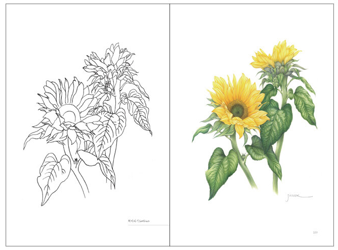 Botanical Art for Kinfolk Life