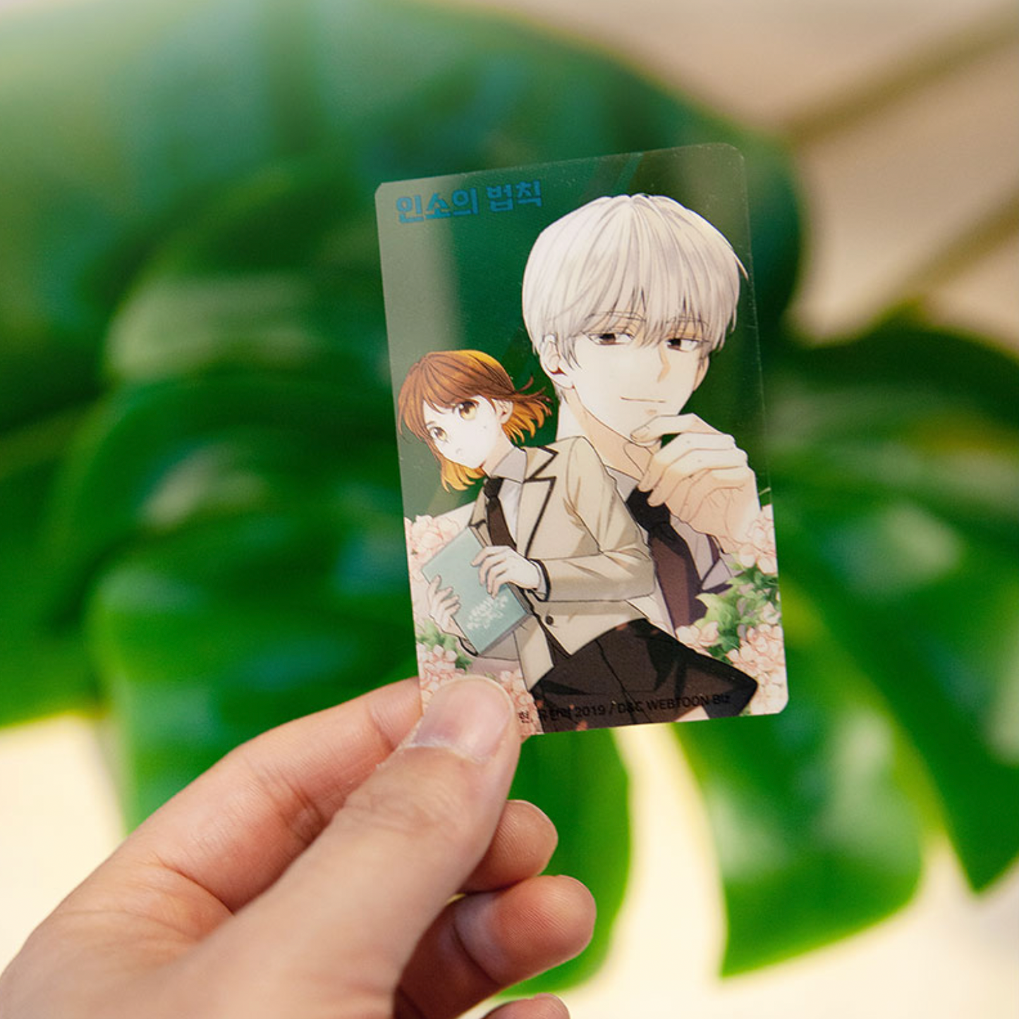 AGF D&C Clear Photocard 10pcs set