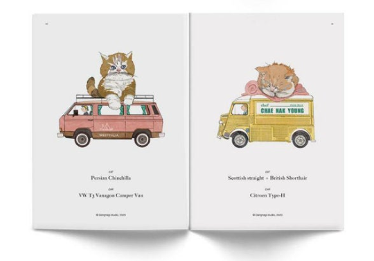 CAT CAR Art book - to people who love cats and cars by Dangnagi studio