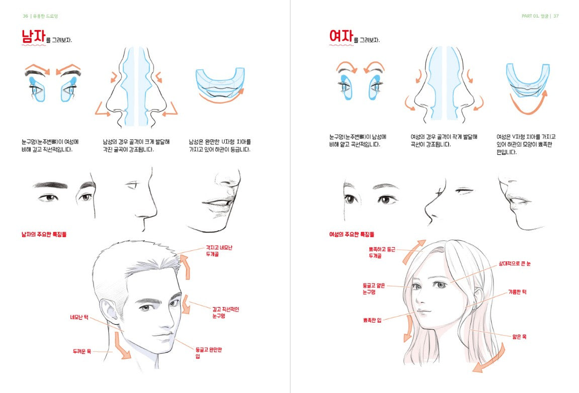 Useful Drawing Webtoon Lesson Book, Drawing Guide Book