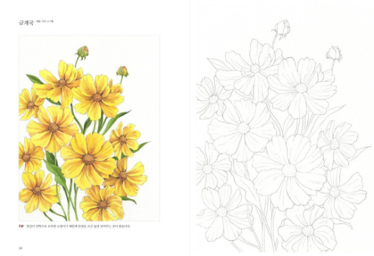 Wildflowers Watercolor Coloring Book