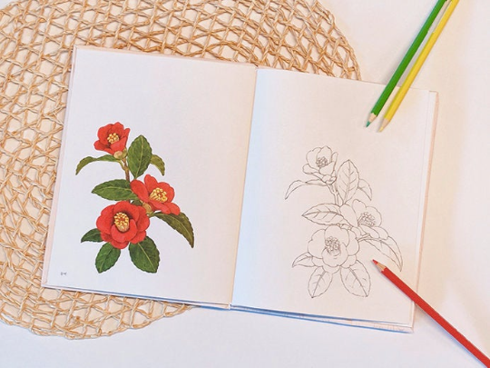 Botanical coloring book by jeonyr22