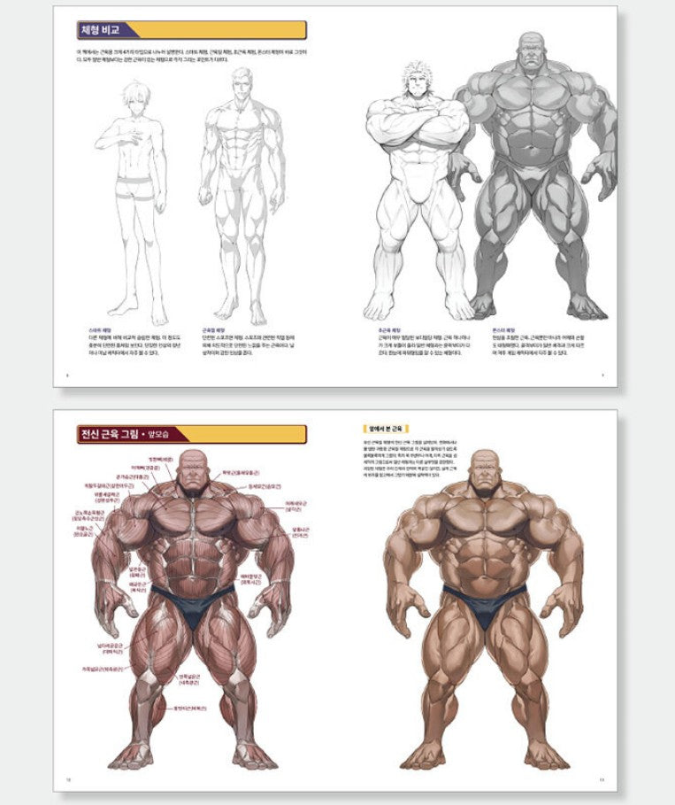 Strong muscle illustration technique Book