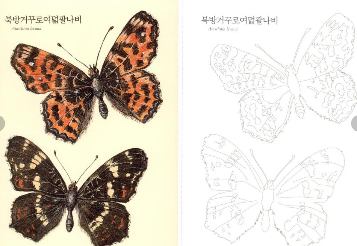 Nature Coloring Book Series : butterfly