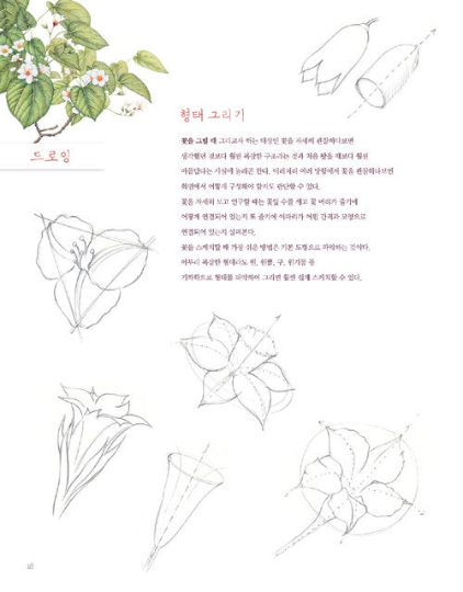 Revision, Botanical Art with Colored Pencils coloring book by EJONG, haeryun lee