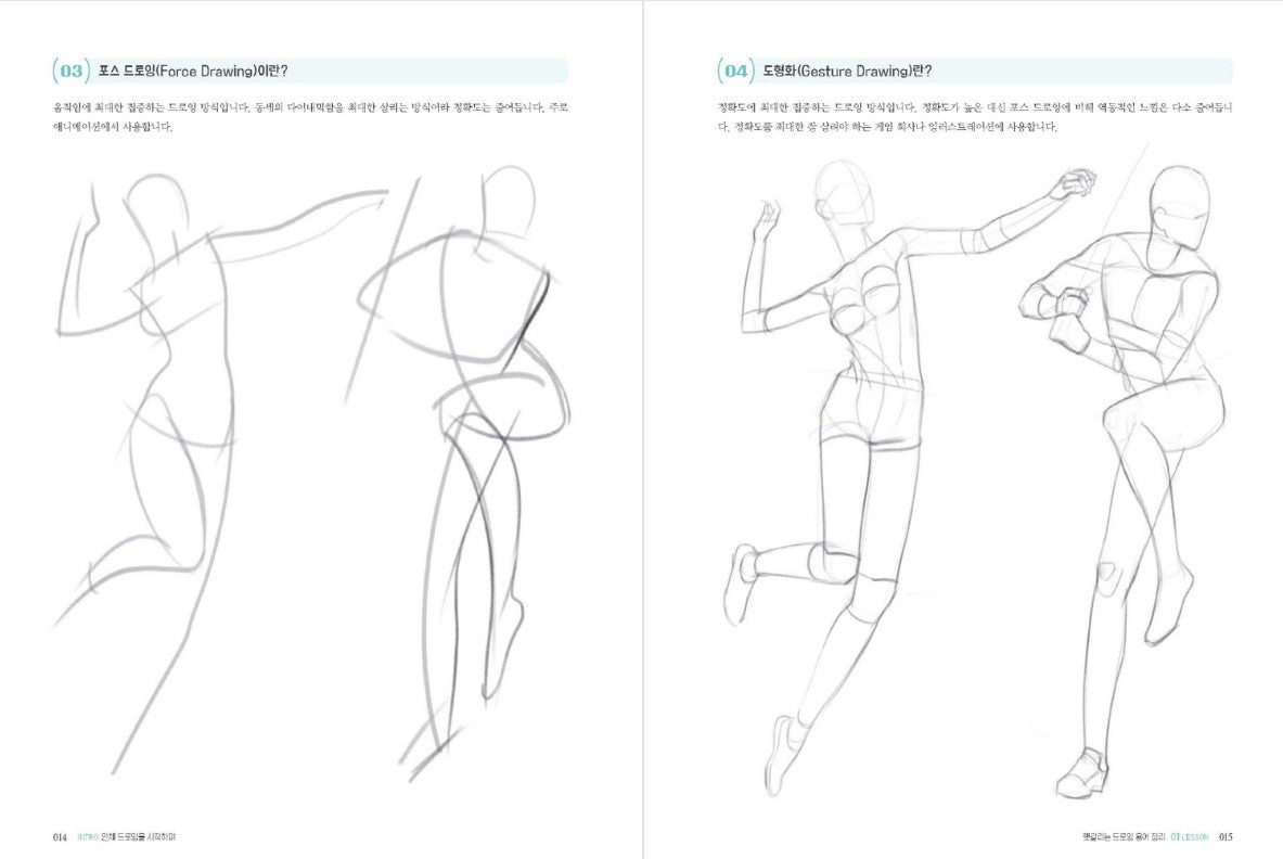 Anatomy and Figure Drawing