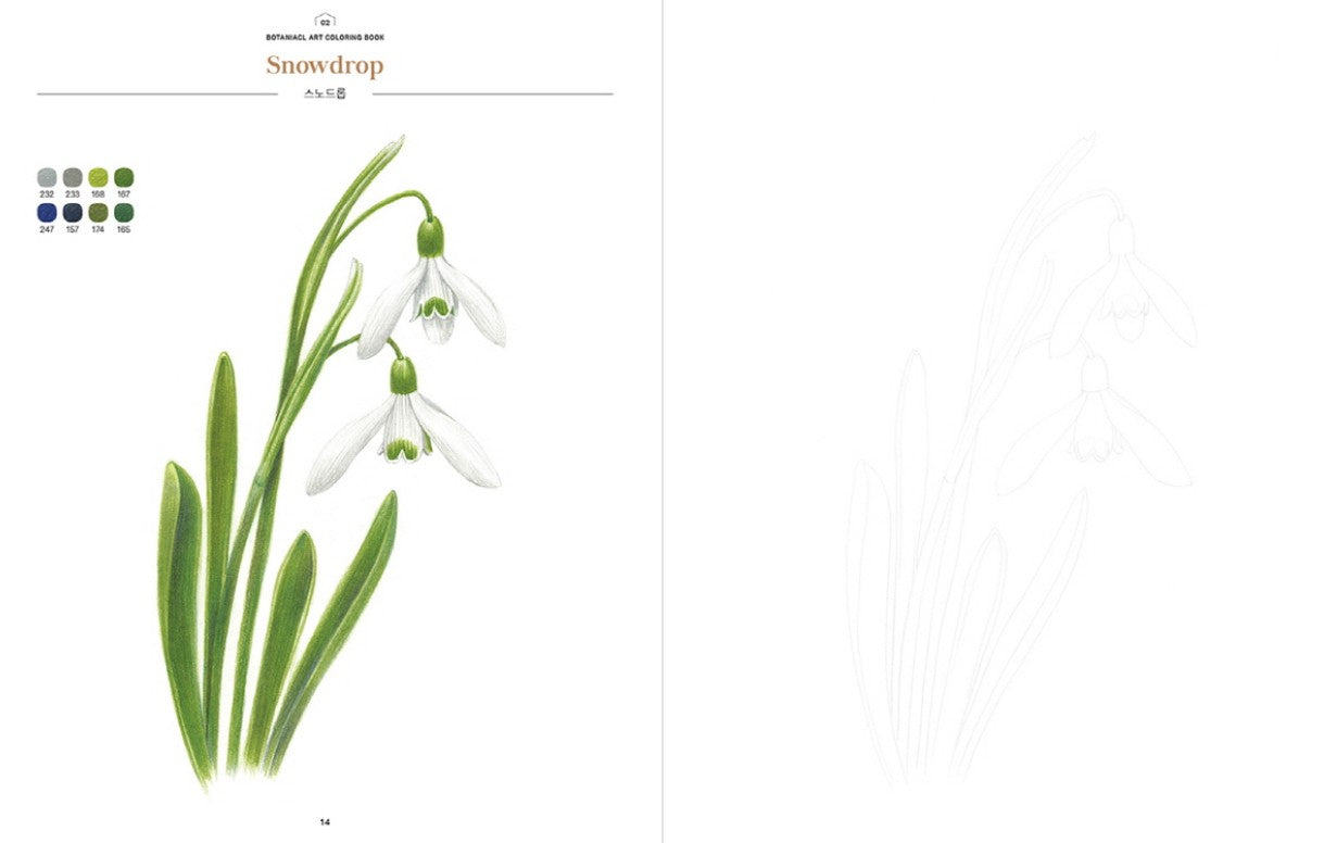 [FLASH SALE] only 2 book! Botanical art coloring book by haeryun lee