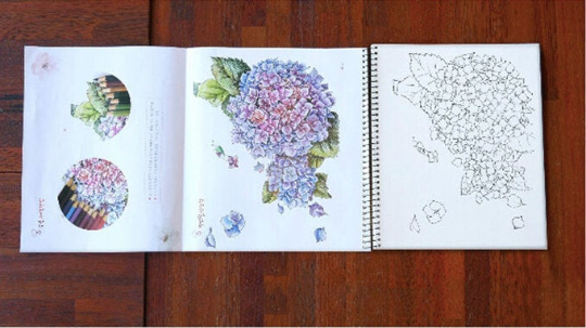Botanical and fairy Watercolor Coloring Book, Spring binding