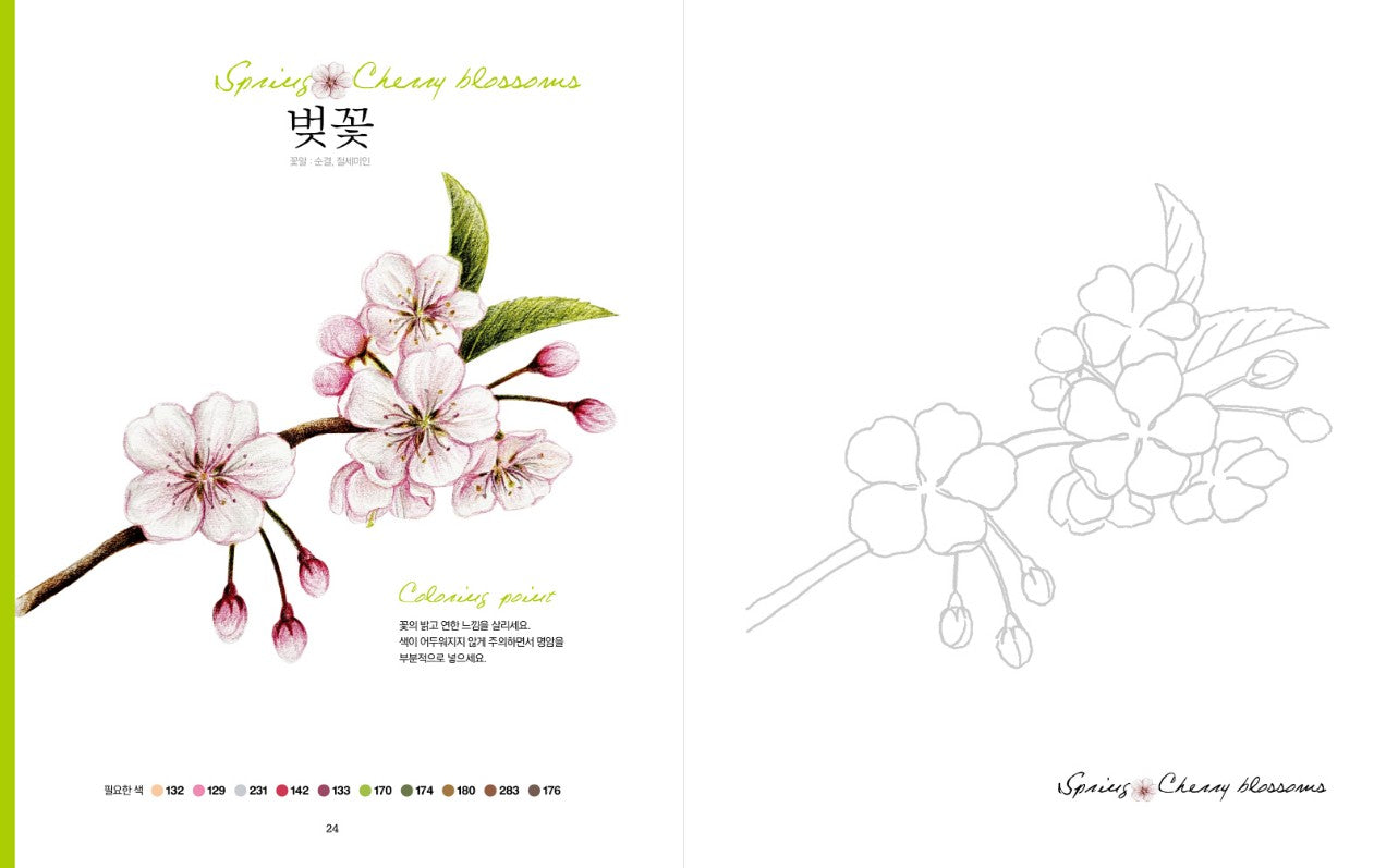 Four Season Flower Coloring Book, 사계절 꽃 컬러링 북