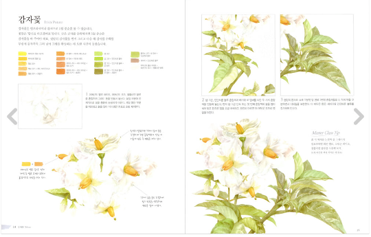 Botanical Art master collection book by haeryun lee