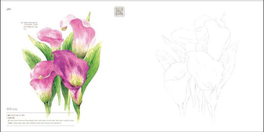 My Flower Watercolor Coloring Book - happy time workbook series