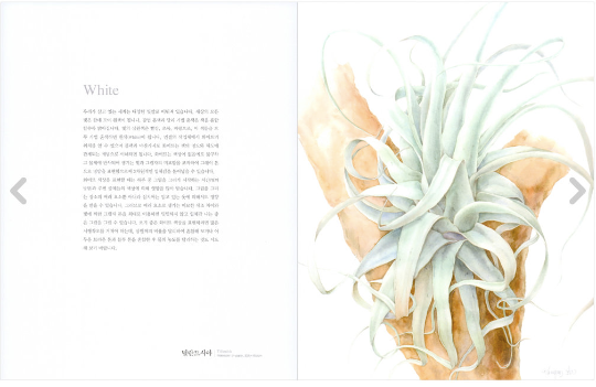 Botanical Art master collection book by haeryun lee