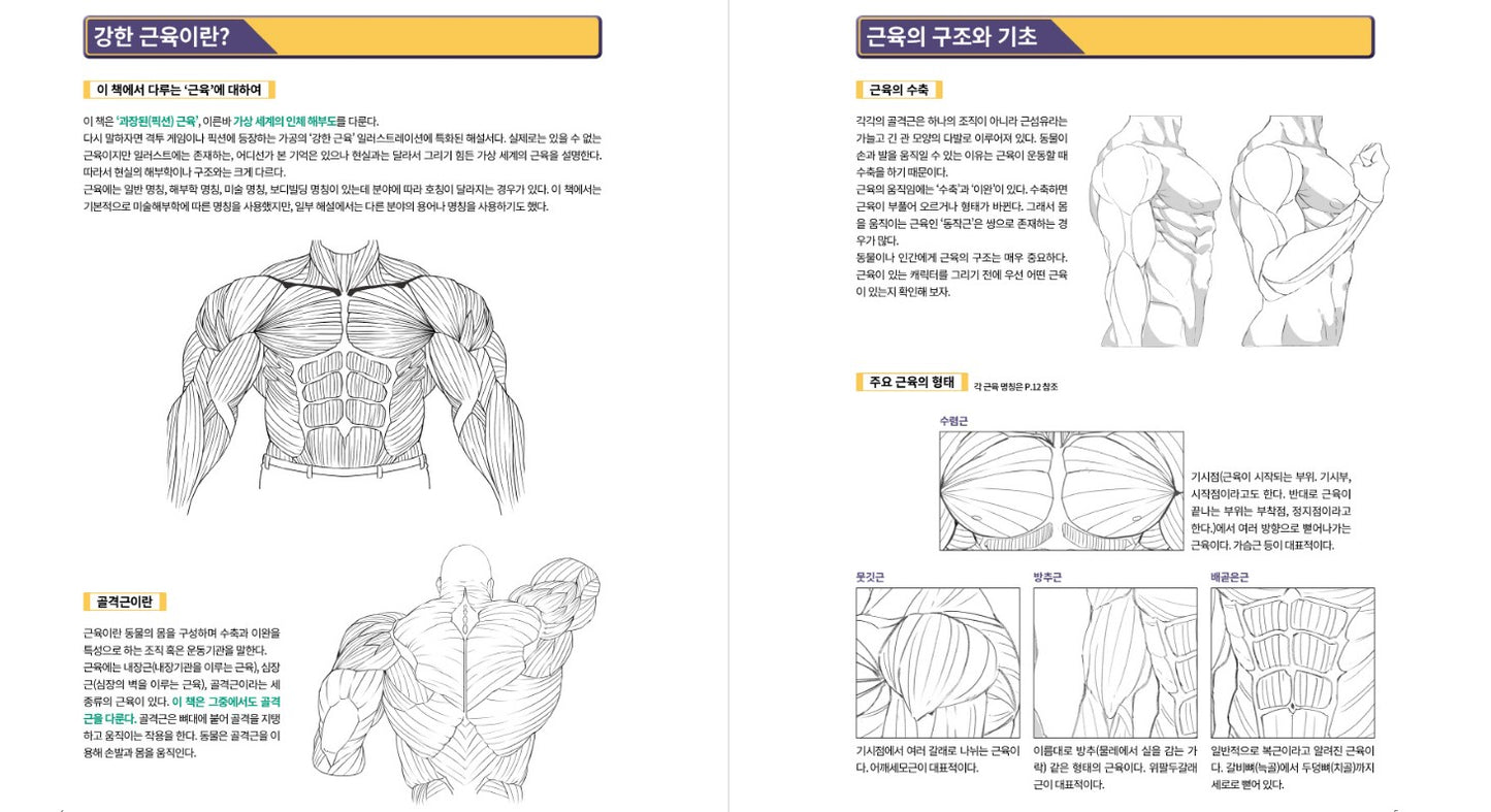 Strong muscle illustration technique Book