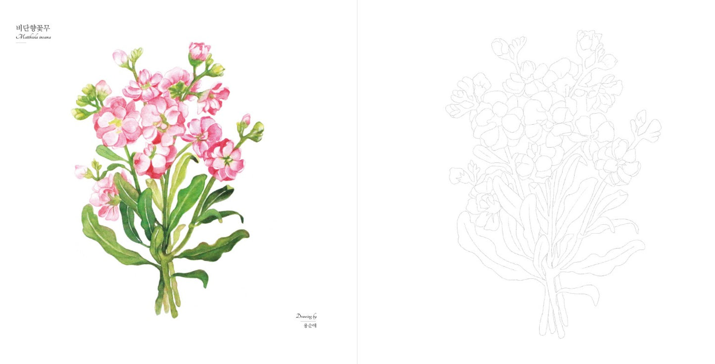 bunch of flowers watercolor coloring book